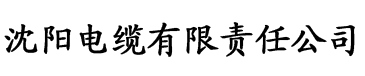 伦理影院电缆厂logo